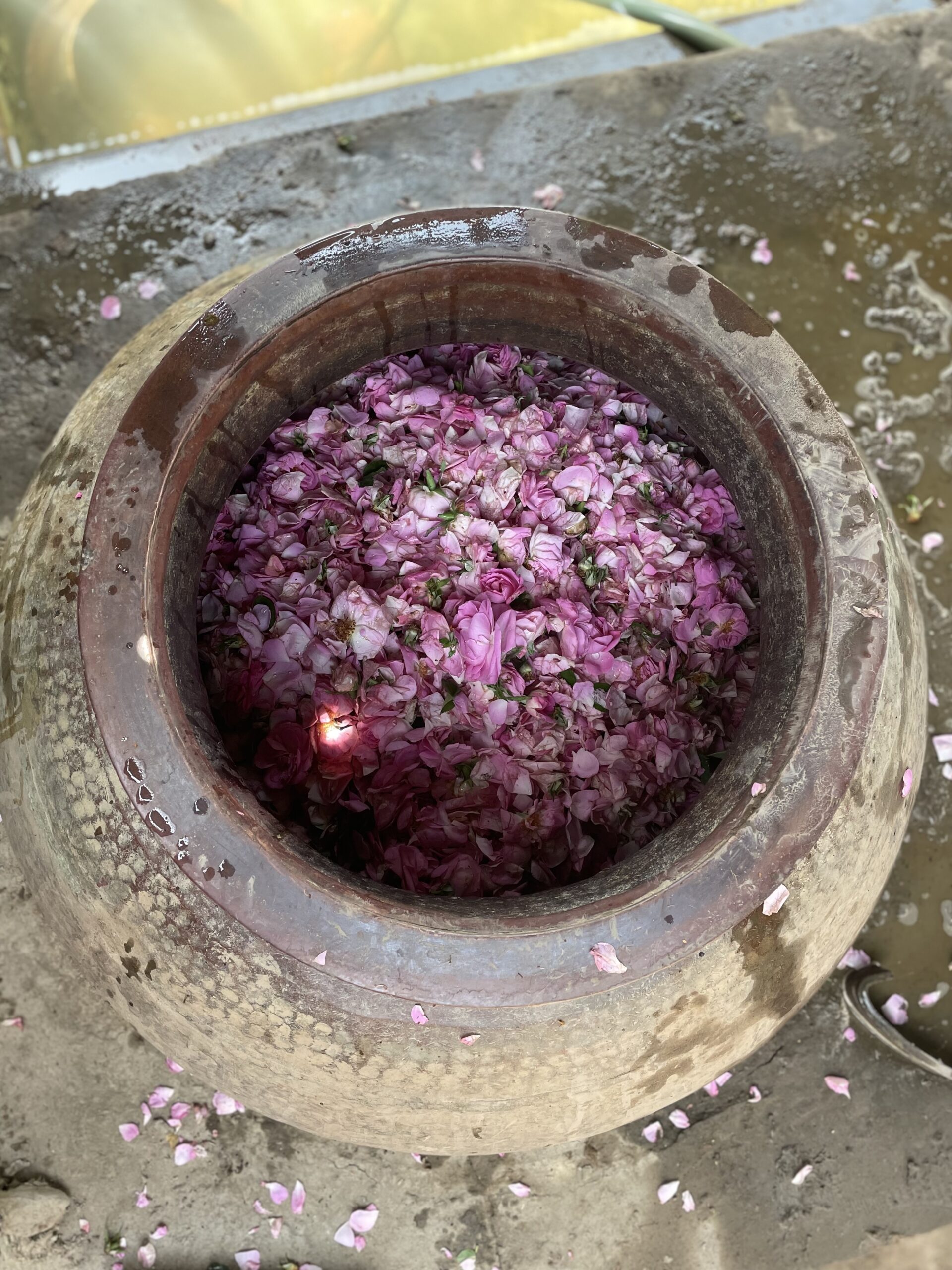 Hand-selected botanicals and petals